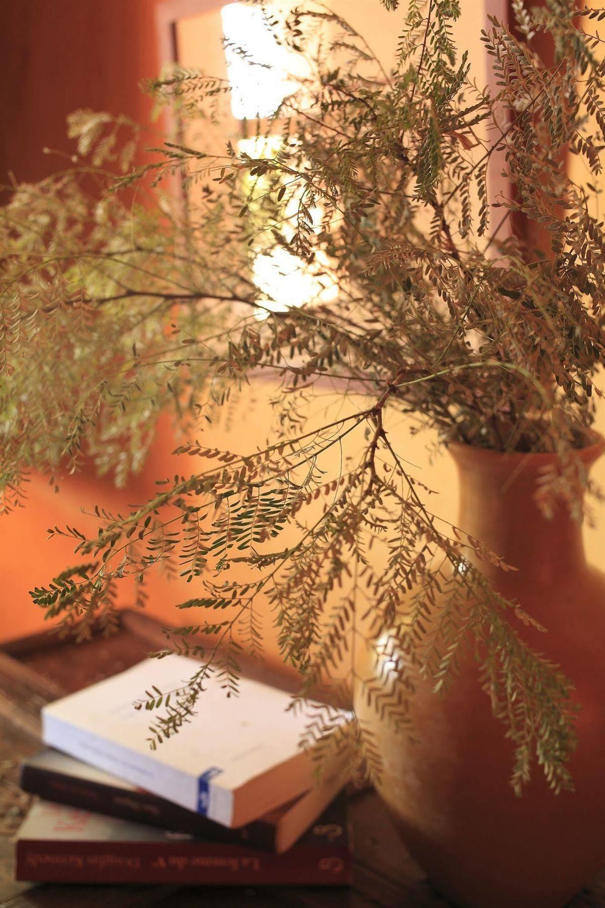 Le Jardin Des Douars Bed & Breakfast เอล กาห์ซัวเน ภายนอก รูปภาพ